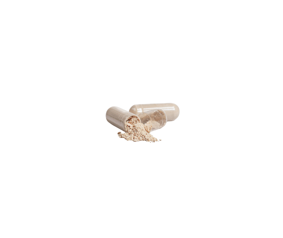LION'S MANE MUSHROOM - Lavish Layers